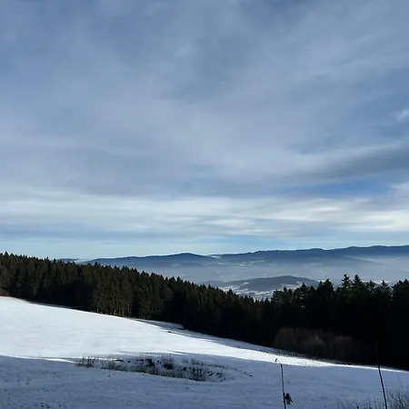 Ciao Birkenwald 你好白桦林民宿