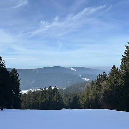 Apartment Ciao Birkenwald 你好白桦林民宿 *