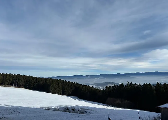 Ciao Birkenwald 你好白桦林民宿