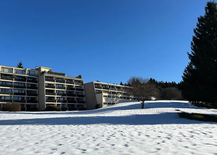 Ciao Birkenwald 你好白桦林民宿