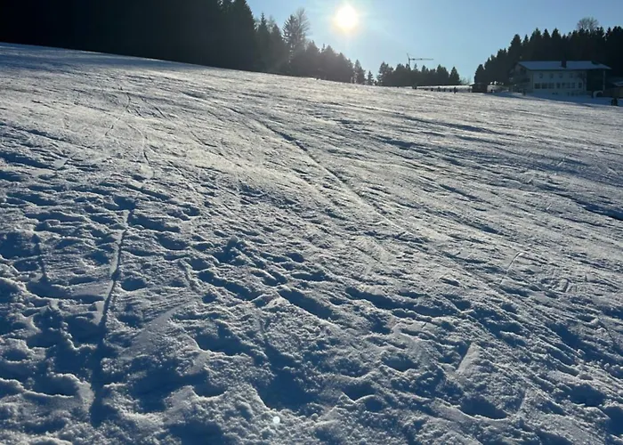 Ciao Birkenwald 你好白桦林民宿