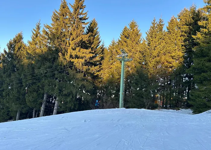 Ciao Birkenwald 你好白桦林民宿 Sankt Englmar