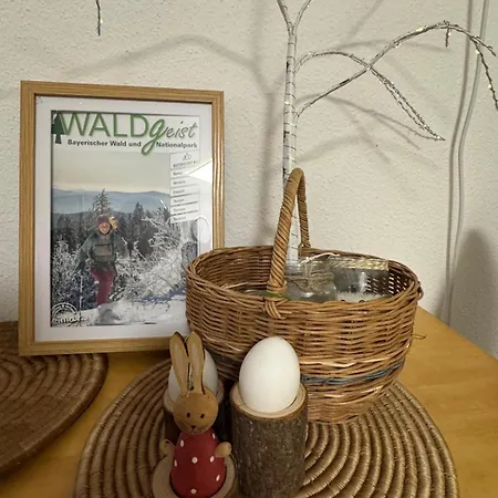 Ciao Birkenwald 你好白桦林民宿 Sankt Englmar