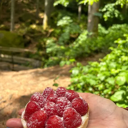 Daire Ciao Birkenwald 你好白桦林民宿 Sankt Englmar