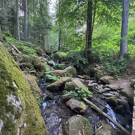 Daire Ciao Birkenwald 你好白桦林民宿 Sankt Englmar