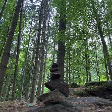 Daire Ciao Birkenwald 你好白桦林民宿 *