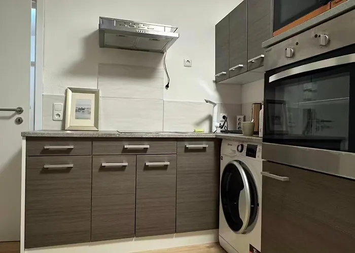Ciao Fewo Birkenwald 你好白桦林民宿 Apartament Sankt Englmar