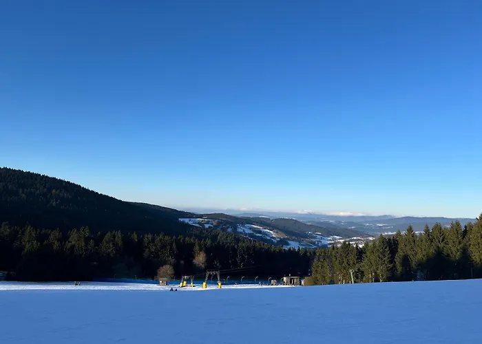 Ciao Birkenwald 你好白桦林民宿 * 圣恩吉玛
