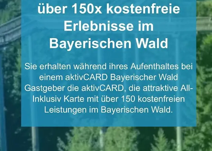 公寓 Ciao Birkenwald 你好白桦林民宿 *