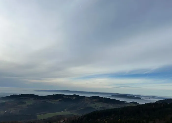 公寓 Ciao Birkenwald 你好白桦林民宿 *